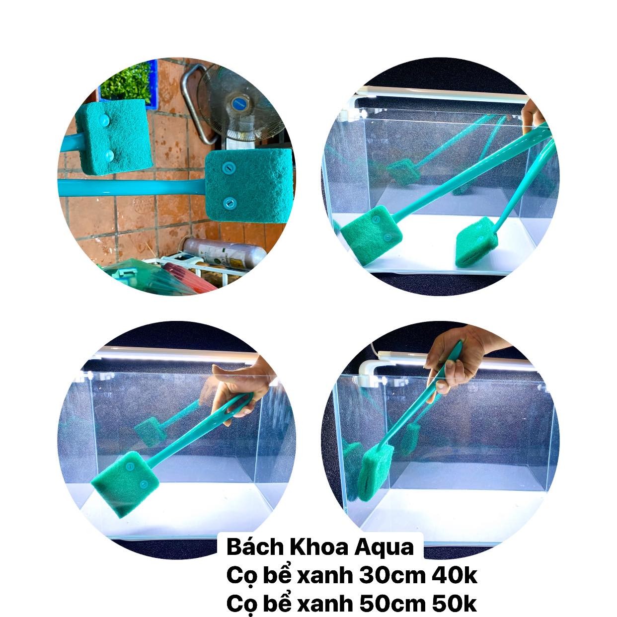 Cọ mút vệ sinh bể cá 30cm - 50cm